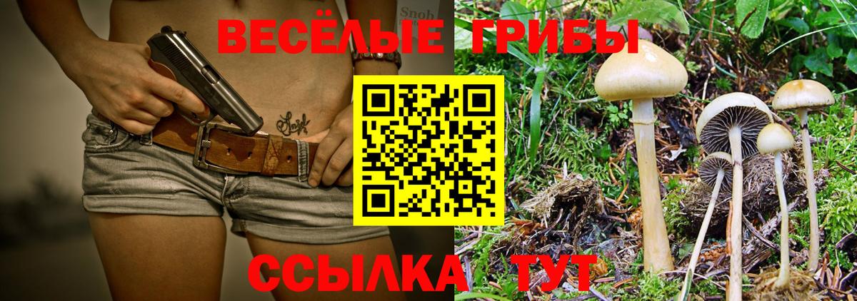 Галлюциногенные грибы Magic Shrooms Гатчина