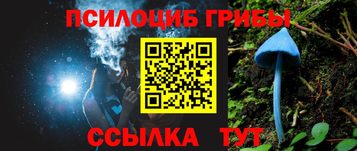 Гатчина  где можно купить наркотик  Вход с VPN  Галлюциногенные грибы GOLDEN TEACHER 